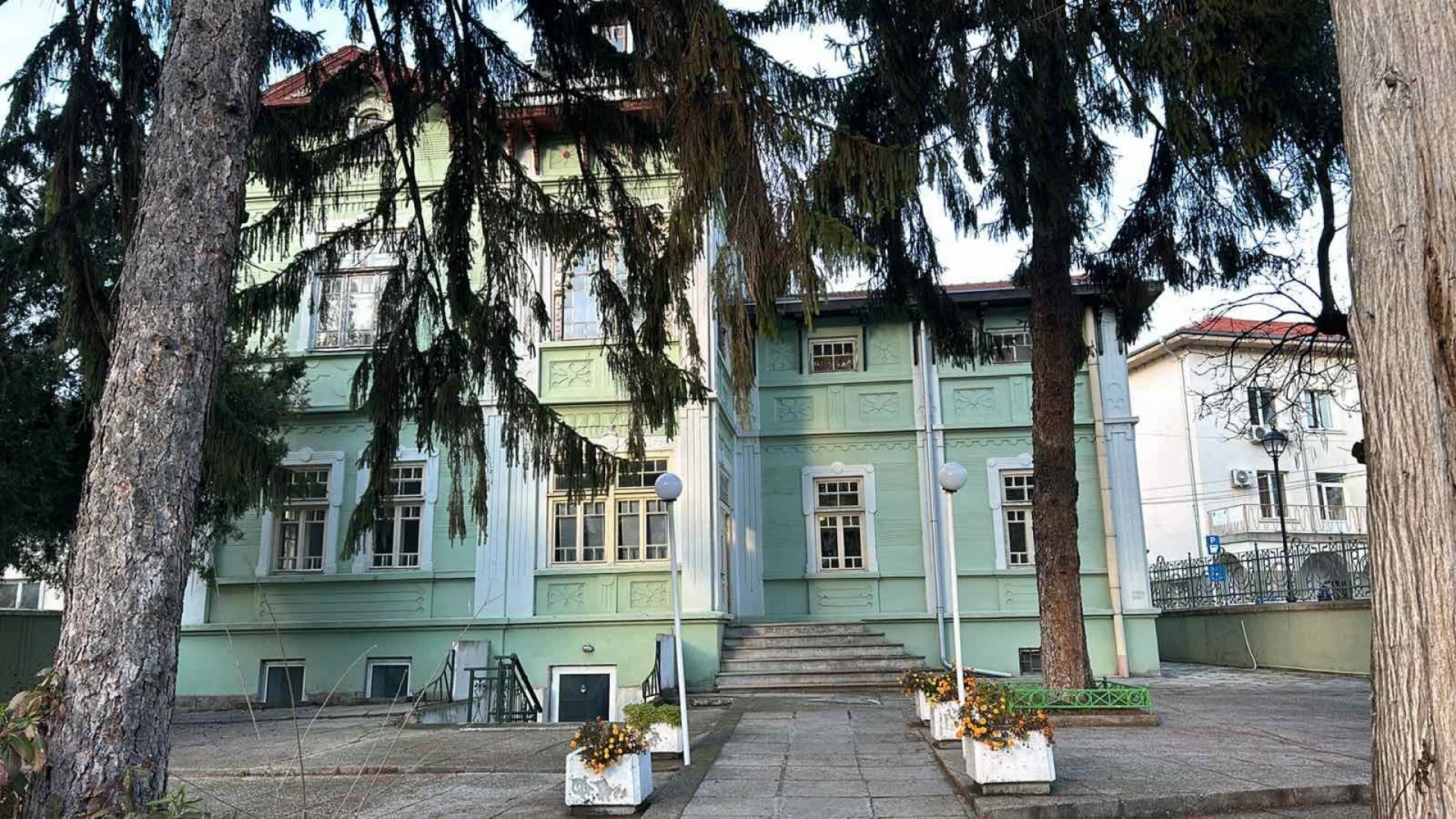 ВИЕНСКИТЕ КЪЩЕ - ДВОРЕЦЪТ НА МИШО АВРАМОВ